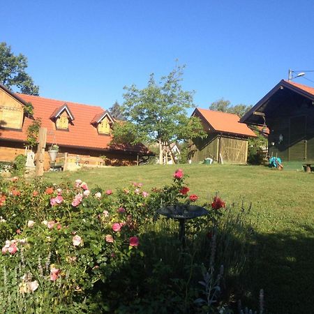 Kuca Suncani Brijeg Pokupsko Exteriör bild