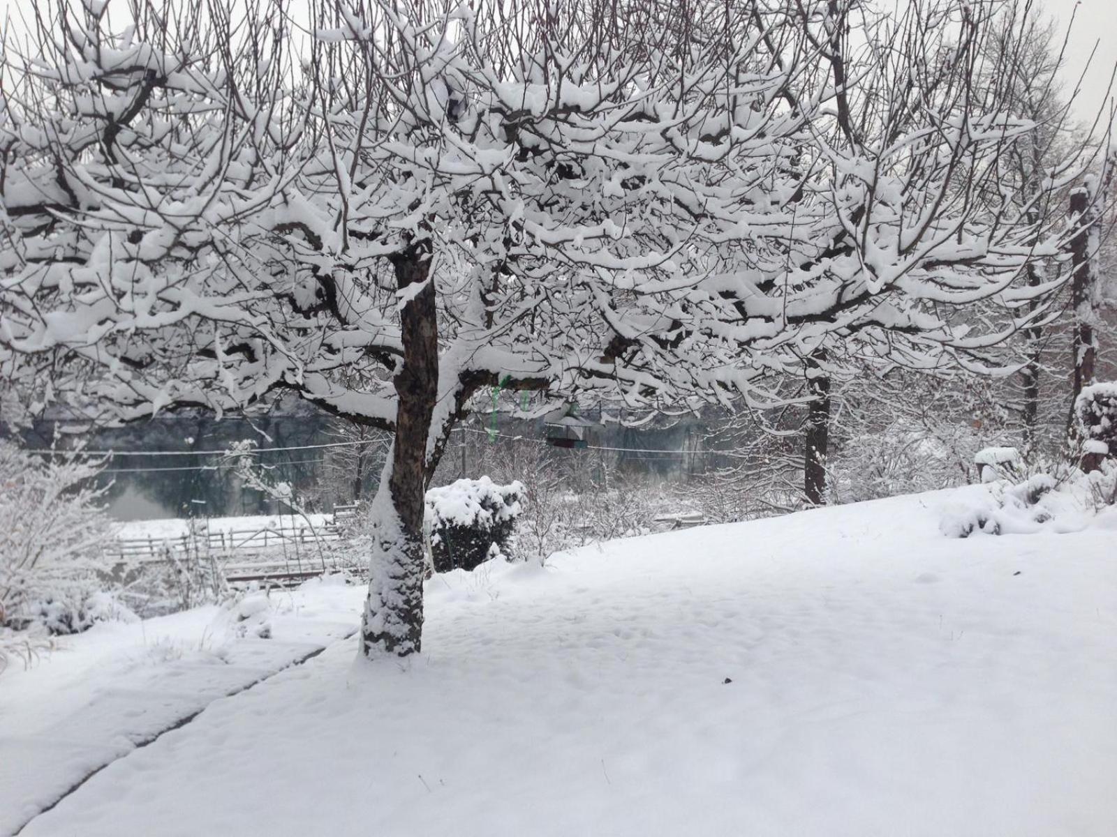 Kuca Suncani Brijeg Pokupsko Exteriör bild